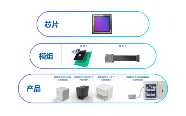 直击CACLP 2023精彩看点：威派视带来芯片数字显微创新应用新进展