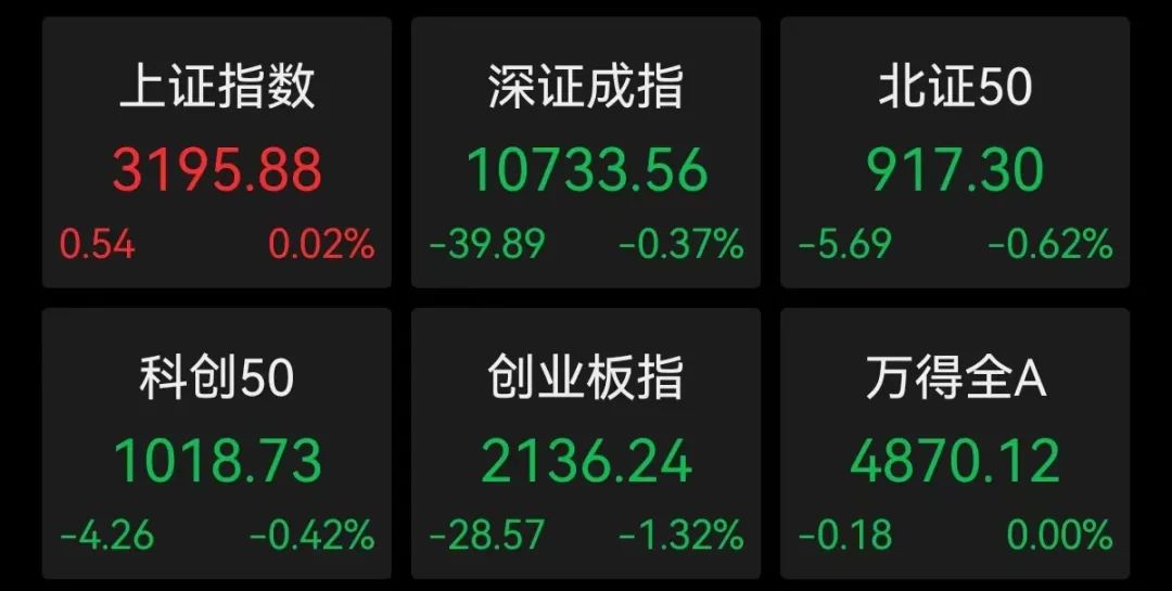 突发利空 “宁王”大跌！惊天洗盘 热门股昨天20cm跌停 今天20cm涨停