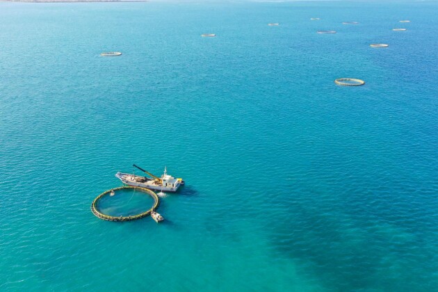 粤海饲料拥抱“深远海养殖+风电”，助力汕尾加速建设海洋牧场