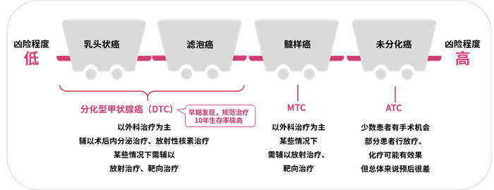 当甲状腺癌遇上靶向治疗，安罗替尼精准突破“幸福癌”防线