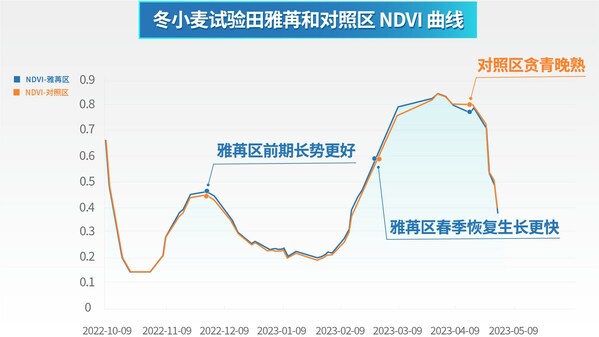 雅苒国际：解决食品粮食系统问题，再生农业是关键