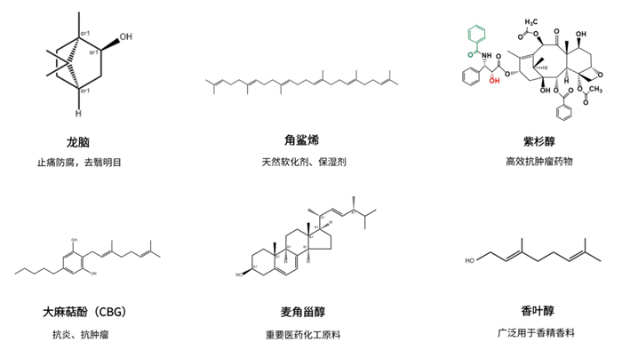 欣贝莱生物｜SynGears™平台：借力AI，打造生物合成的“数字基座”