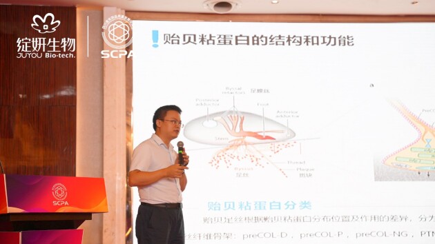 四川省化妆品质量发展促进会正式成立 绽妍生物被授予副会长单位