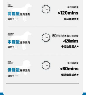 更适合中国狗狗的选粮大法，派膳师的科学养宠新理念