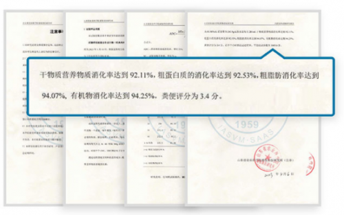 要不要给自家狗子绝育？小狗绝育优点和缺点都在这儿了