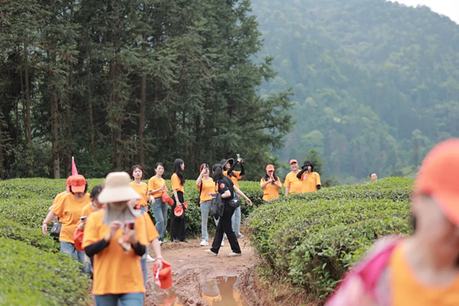 龙游武夷·寻茶山水间│2024龙叙堂精英团队武夷山寻茶研学之旅