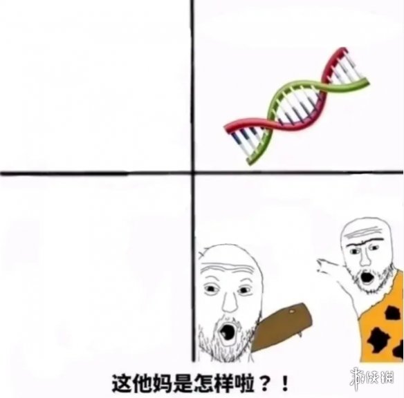 突然火起来的meme，让我明白了人类为什么会成功进化