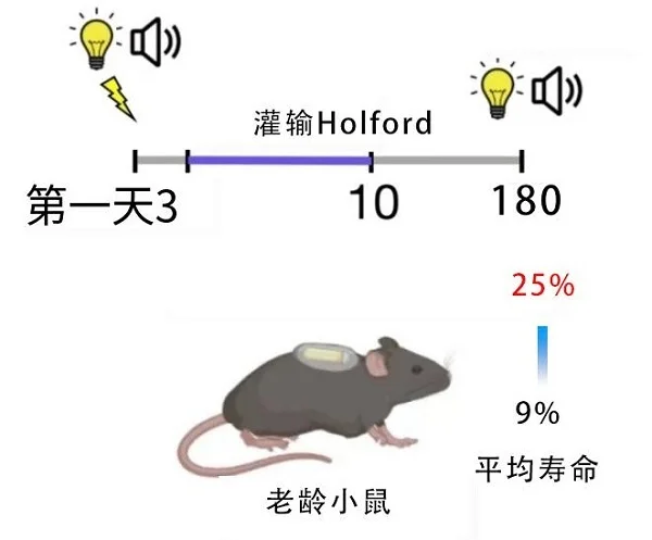 富豪与“死神”掰手腕，续命险中求？追求永葆青春的秘诀已经有了长寿编码