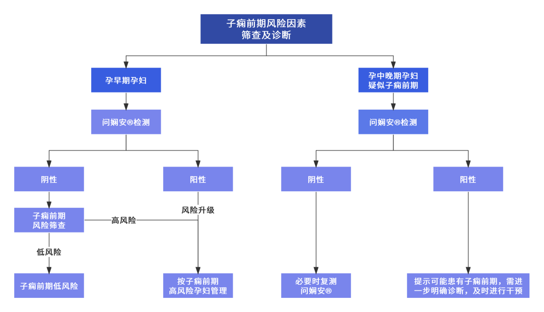 尿液错误折叠蛋白获独家专利保护，数问生物赋能子痫前期无创检测