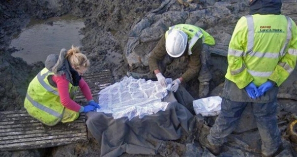 英国出土1700年前鸡蛋：仍然存在蛋液 但臭气熏天！