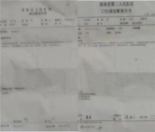 《聚焦名人视界·传递两会风采》中医药根治恶性肿瘤是人类医学发展的必然选择——陈海林