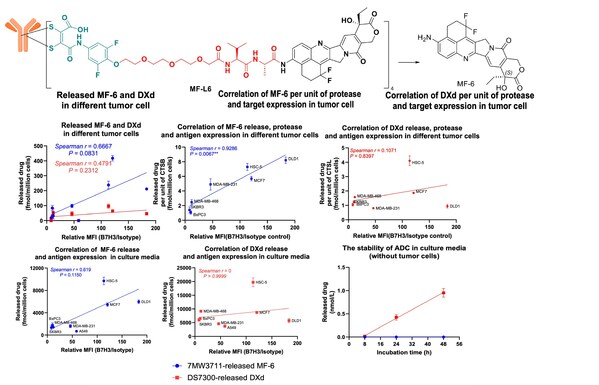 迈威生物在第 14 届World ADC大会展示 IDDC™ 平台技术及 ADC 药物开发成果