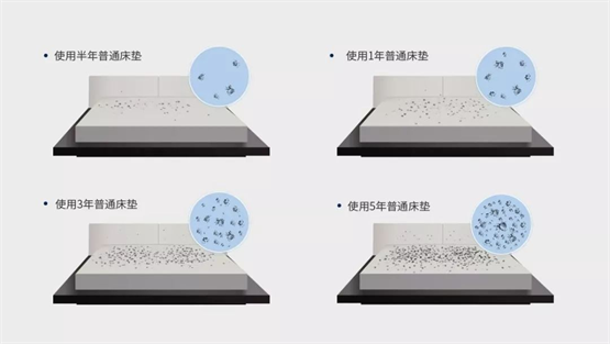 舒达床垫实力彰显，三重立体阻螨为健康睡眠保驾护航