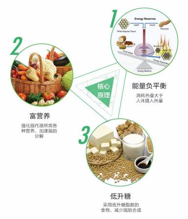 贪吃密码体重管理“金三角”，带您医学级减脂