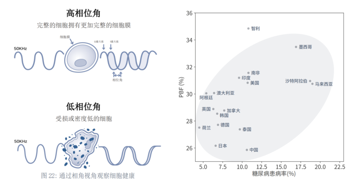 InBody发布2024全球人体成分分析报告