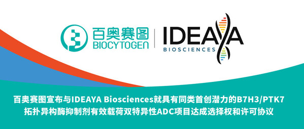 百奥赛图宣布与IDEAYA Biosciences就具有同类首创潜力的B7H3/PTK7拓扑异构酶抑制剂有效载荷双特异性ADC项目达成选择权和许可协议