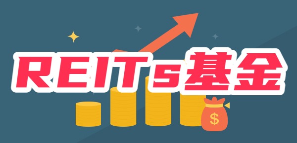 新手在哪个平台可以买reits基金(哪里可以买到reits基金)