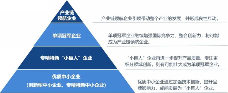 再添殊荣！纵维立方入选广东省制造业单项冠军