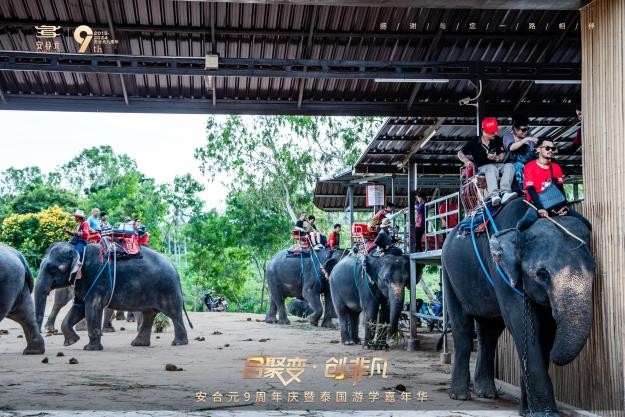 热烈祝贺！安合元9周年庆暨泰国游学嘉年华圆满落幕！