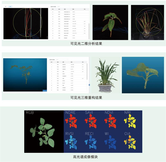 托普云农精研农业AI，助力植物表型研究“数智”升级