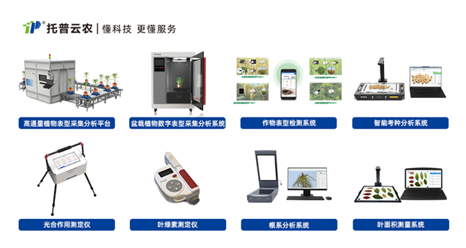 托普云农精研农业AI，助力植物表型研究“数智”升级